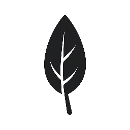 Energie und Seele by Michaela Rösch